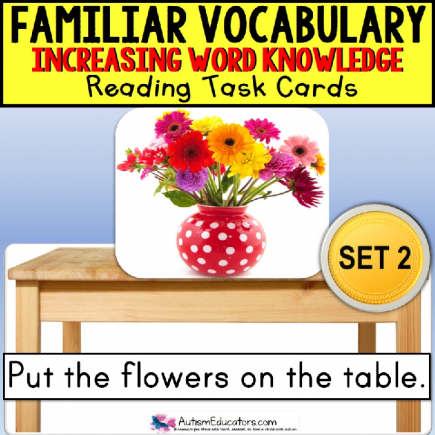 VOCABULARY and PICTURES  WORD KNOWLEDGE Task Box Filler Activities for Autism SET 2